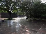 DSC01351