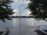 DSC01345