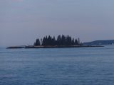 DSC01690