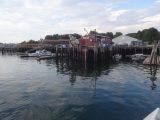 DSC01706