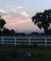 DSC01729