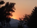 DSC01841