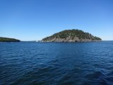 DSC01974