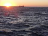 DSC02036