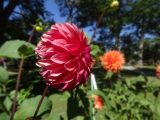 DSC02061