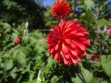 DSC02065