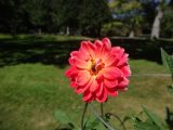DSC02066