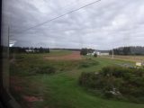 DSC02191