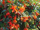 DSCN1188