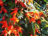 DSCN1189