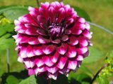 DSCN1215