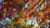 20151011_161100