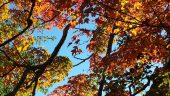 20151011_161121