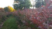 20161015_161246