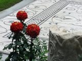 DSC02589