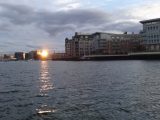 DSC02633
