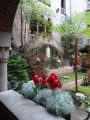 DSC02964