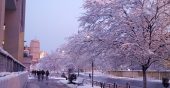 20160205_170536