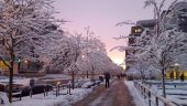 20160205_170721
