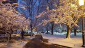 20160205_172540