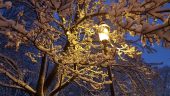 20160205_172556