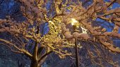 20160205_172615