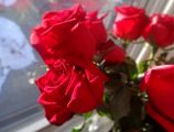 DSC03224