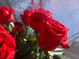 DSC03225