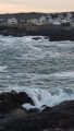 20160220_170523