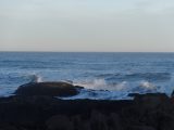 DSC03281