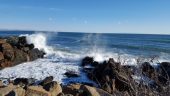 20160221_084737