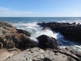 DSC03342