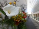 DSC03504
