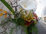 DSC03507