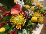 DSC03535