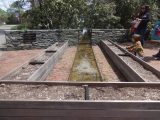 DSC03569