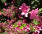 DSC03581