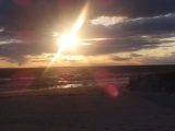 DSC03646