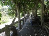 DSC08199