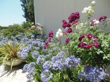 DSCN0939