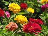 DSCN0947
