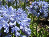 DSCN0950