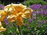 DSCN0958