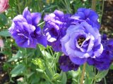 DSCN0977
