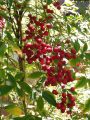 DSCN1042