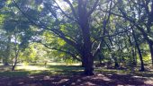 20160805_131218