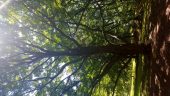 20160805_131242