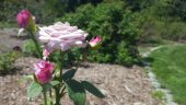 20160805_132134