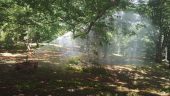 20160805_133702