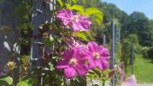 20160805_134323
